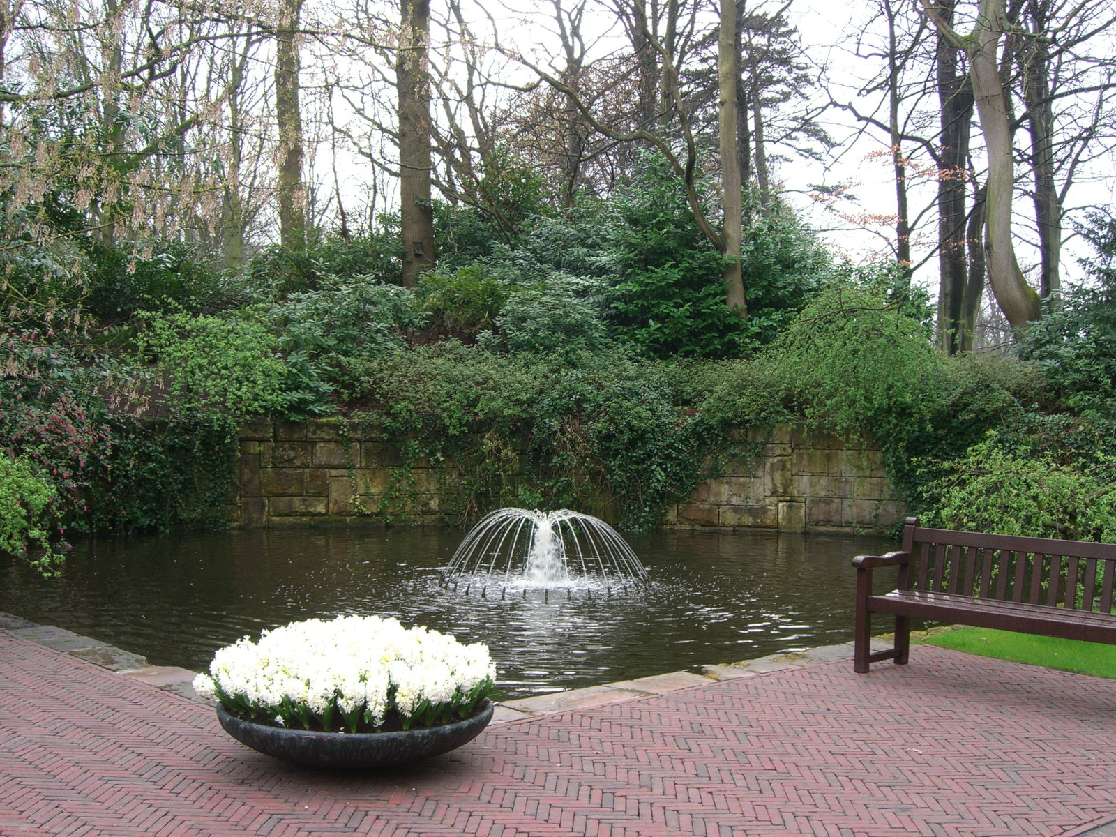 Netherlands Keukenhof